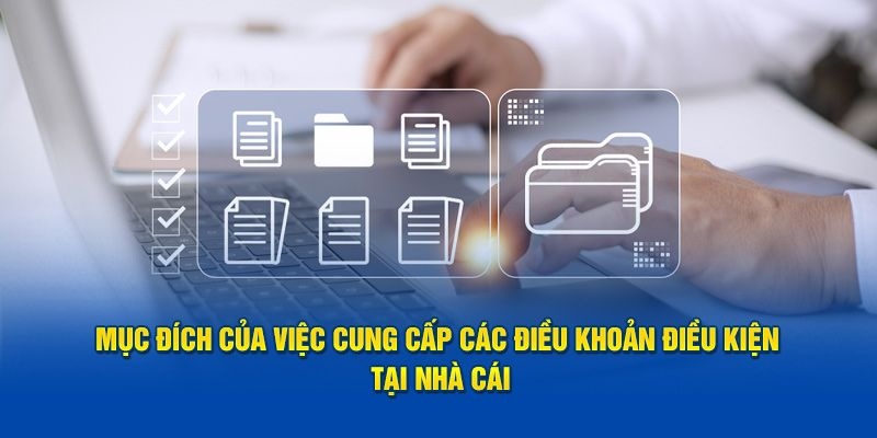 Khái niệm chung về điều khoản sử dụng tại M8win