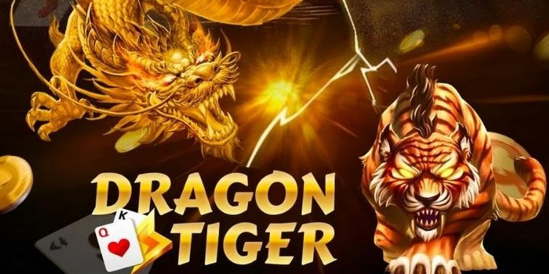 Dragon Tiger M8Win | Luật chơi và bí kíp cược hiệu quả nhất 4 Draon Tiger M8Win